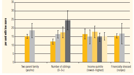 Figure 11: Proportion of children (B cohort) with low outcome scores by family characteristics