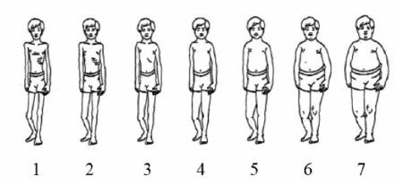 Figure 6 Body image scale, boys