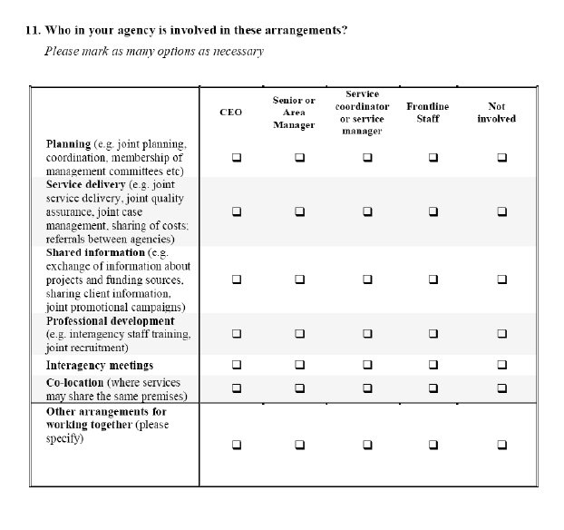 Snapshot Questionnaire 2006