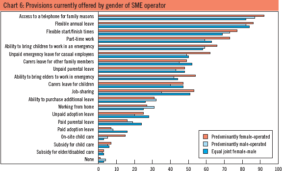 Chart 6: Provisions currently offered by gender of SME operator