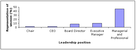 Figure 4.2: Women in leadership positions on ASX200 companies, 2008