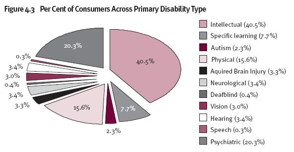 ure 4.3 Per Cent of Consumers Across Primary Disability Type