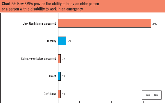 Chart 55: How SMEs provide the ability to bring an older person