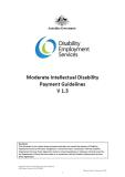 DES Moderate Intellectual Disability Payment Guidelines