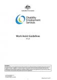 DES Work Assist Guidelines cover image