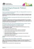 Interpreting in domestic violence situations cover image