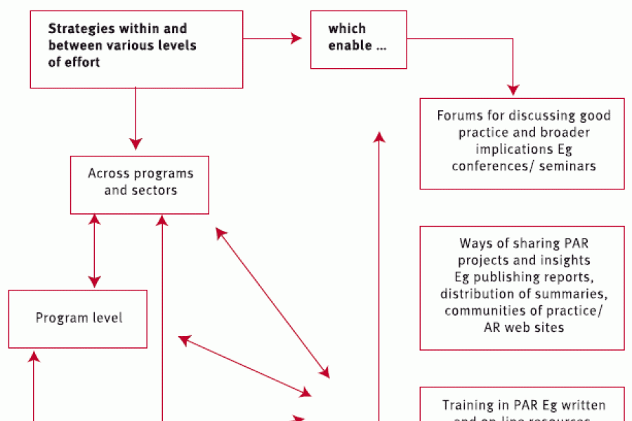Figure 9: Elements of an Action Research system