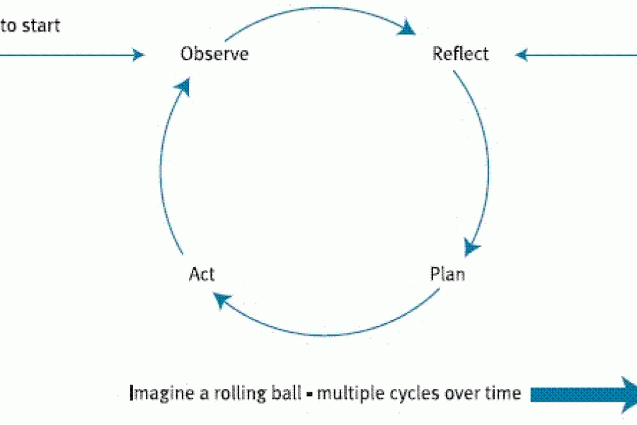 Figure 1: The basic Action Research cycle