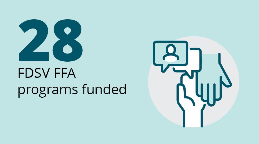 28 FDSV FFA programs funded