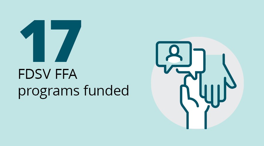 17 FDSV FFA programs funded