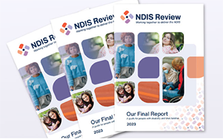 Working together to deliver the NDIS. Independent review into the National Disability Insurance Scheme. Final Report. 