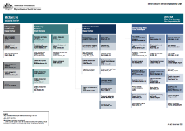 SES Organisational Chart - External Website - 3 November 2025