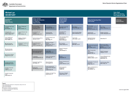 cover of SES Org Chart